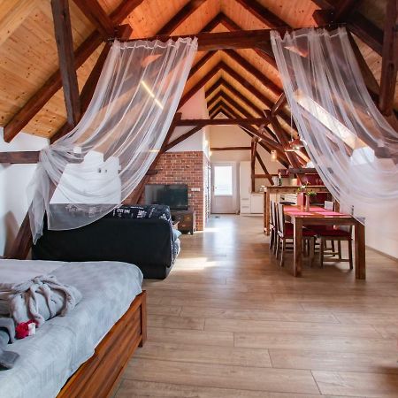 Penzion Na Barokni Ceste Wellness & Spa Plasy Экстерьер фото